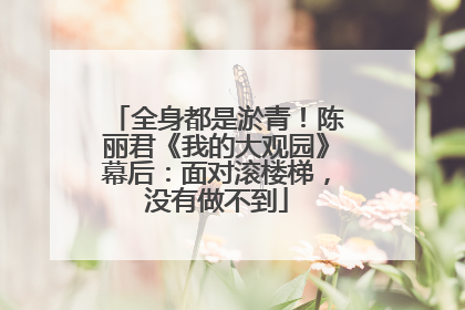 全身都是淤青！陈丽君《我的大观园》幕后：面对滚楼梯，没有做不到