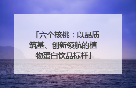 六个核桃：以品质筑基、创新领航的植物蛋白饮品标杆