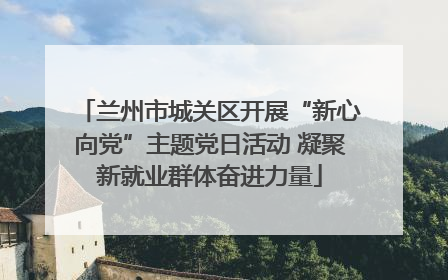 兰州市城关区开展“新心向党”主题党日活动 凝聚新就业群体奋进力量