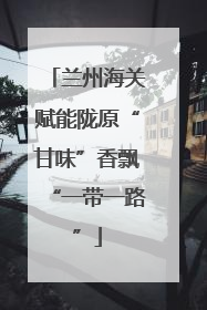 兰州海关赋能陇原“甘味”香飘“一带一路”