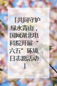 共同守护绿水青山，国网湖北电科院开展“六五”环境日志愿活动