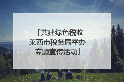 共建绿色税收 莱西市税务局举办专题宣传活动
