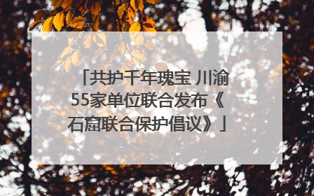 共护千年瑰宝 川渝55家单位联合发布《石窟联合保护倡议》