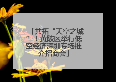 共拓“天空之城”！黄陂区举行低空经济深圳专场推介招商会