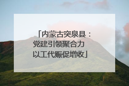内蒙古突泉县：党建引领聚合力 以工代赈促增收