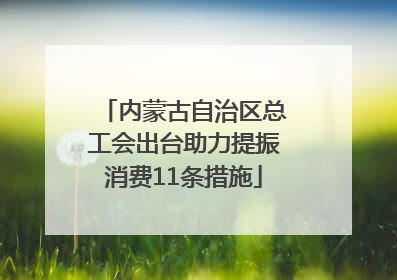 内蒙古自治区总工会出台助力提振消费11条措施