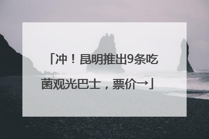 冲！昆明推出9条吃菌观光巴士，票价→