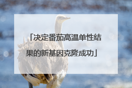 决定番茄高温单性结果的新基因克隆成功