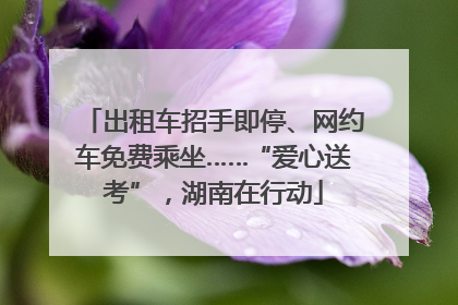 出租车招手即停、网约车免费乘坐……“爱心送考”，湖南在行动
