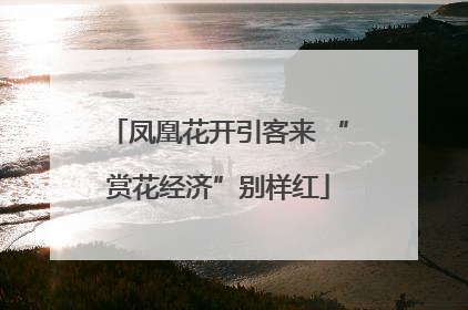 凤凰花开引客来 “赏花经济”别样红
