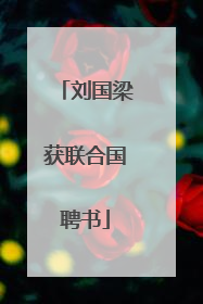 刘国梁获联合国聘书