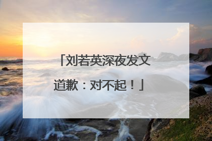 刘若英深夜发文道歉：对不起！