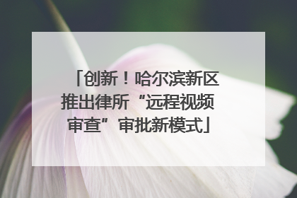 创新！哈尔滨新区推出律所“远程视频审查”审批新模式