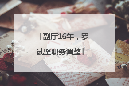 副厅16年，罗试坚职务调整