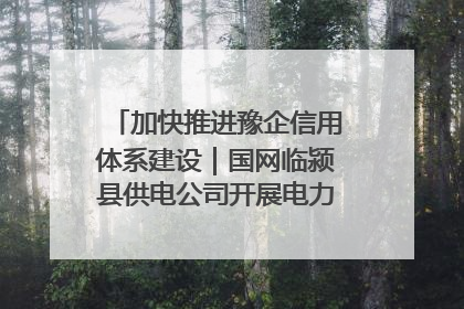 加快推进豫企信用体系建设｜国网临颍县供电公司开展电力行业信用企业现场咨询访谈工作