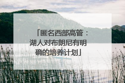 匿名西部高管：湖人对布朗尼有明确的培养计划