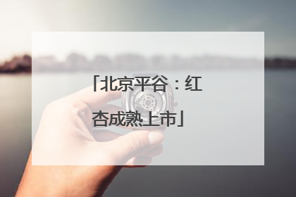 北京平谷：红杏成熟上市