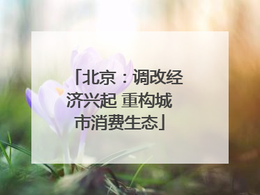 北京：调改经济兴起 重构城市消费生态