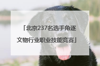 北京237名选手角逐文物行业职业技能竞赛