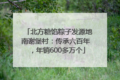 北方糖馅粽子发源地南谢堡村：传承六百年，年销600多万个