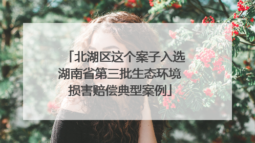 北湖区这个案子入选湖南省第三批生态环境损害赔偿典型案例