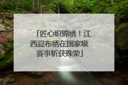 匠心织锦绣！江西夏布绣在国家级赛事斩获殊荣