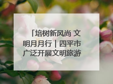 培树新风尚 文明月月行｜四平市广泛开展文明旅游主题实践活动