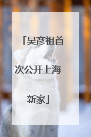 吴彦祖首次公开上海新家