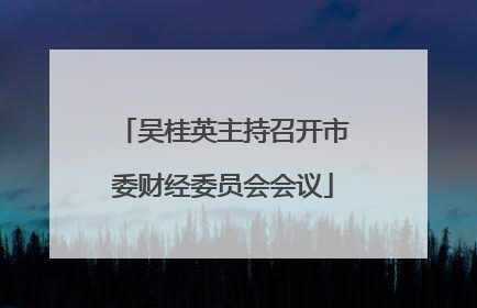 吴桂英主持召开市委财经委员会会议