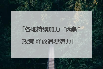 各地持续加力“两新”政策 释放消费潜力