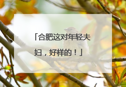 合肥这对年轻夫妇，好样的！