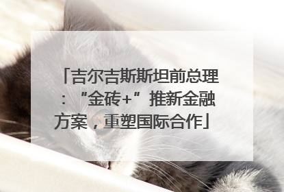 吉尔吉斯斯坦前总理：“金砖+”推新金融方案，重塑国际合作