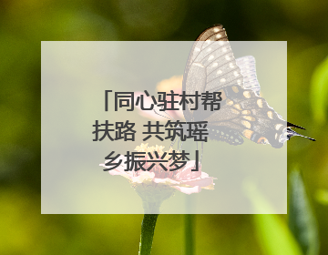 同心驻村帮扶路 共筑瑶乡振兴梦
