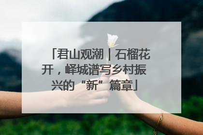 君山观潮｜石榴花开，峄城谱写乡村振兴的“新”篇章
