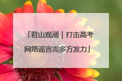 君山观潮｜打击高考网络谣言需多方发力