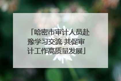 哈密市审计人员赴豫学习交流 共促审计工作高质量发展