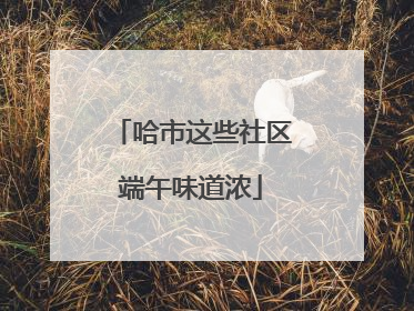 哈市这些社区端午味道浓