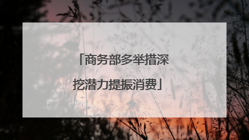 商务部多举措深挖潜力提振消费