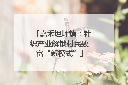 嘉禾坦坪镇：针织产业解锁村民致富“新模式”