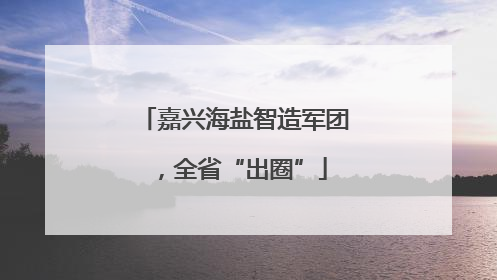 嘉兴海盐智造军团，全省“出圈”