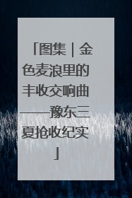 图集｜金色麦浪里的丰收交响曲——豫东三夏抢收纪实