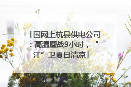 国网上杭县供电公司：高温鏖战9小时，“汗”卫夏日清凉