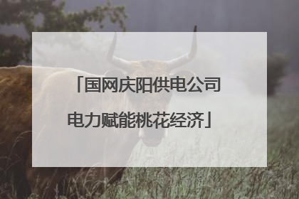 国网庆阳供电公司电力赋能桃花经济