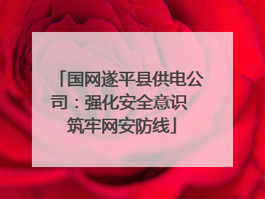 国网遂平县供电公司：强化安全意识 筑牢网安防线
