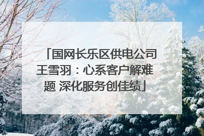 国网长乐区供电公司王雪羽：心系客户解难题 深化服务创佳绩