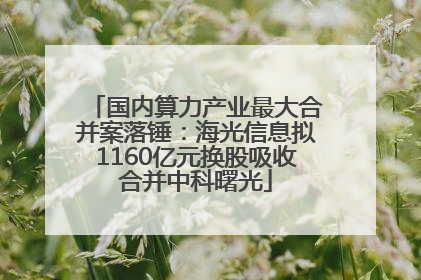 国内算力产业最大合并案落锤：海光信息拟1160亿元换股吸收合并中科曙光