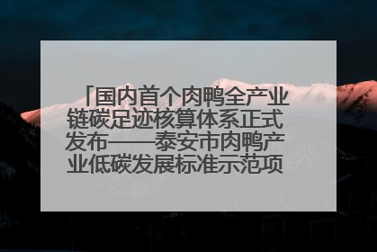 国内首个肉鸭全产业链碳足迹核算体系正式发布——泰安市肉鸭产业低碳发展标准示范项目顺利通过验收