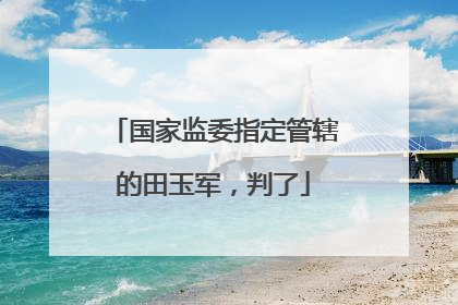 国家监委指定管辖的田玉军，判了