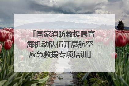 国家消防救援局青海机动队伍开展航空应急救援专项培训