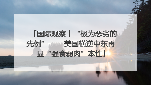 国际观察丨“极为恶劣的先例”——美国横逆中东再显“强食弱肉”本性